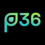 p36 GmbH